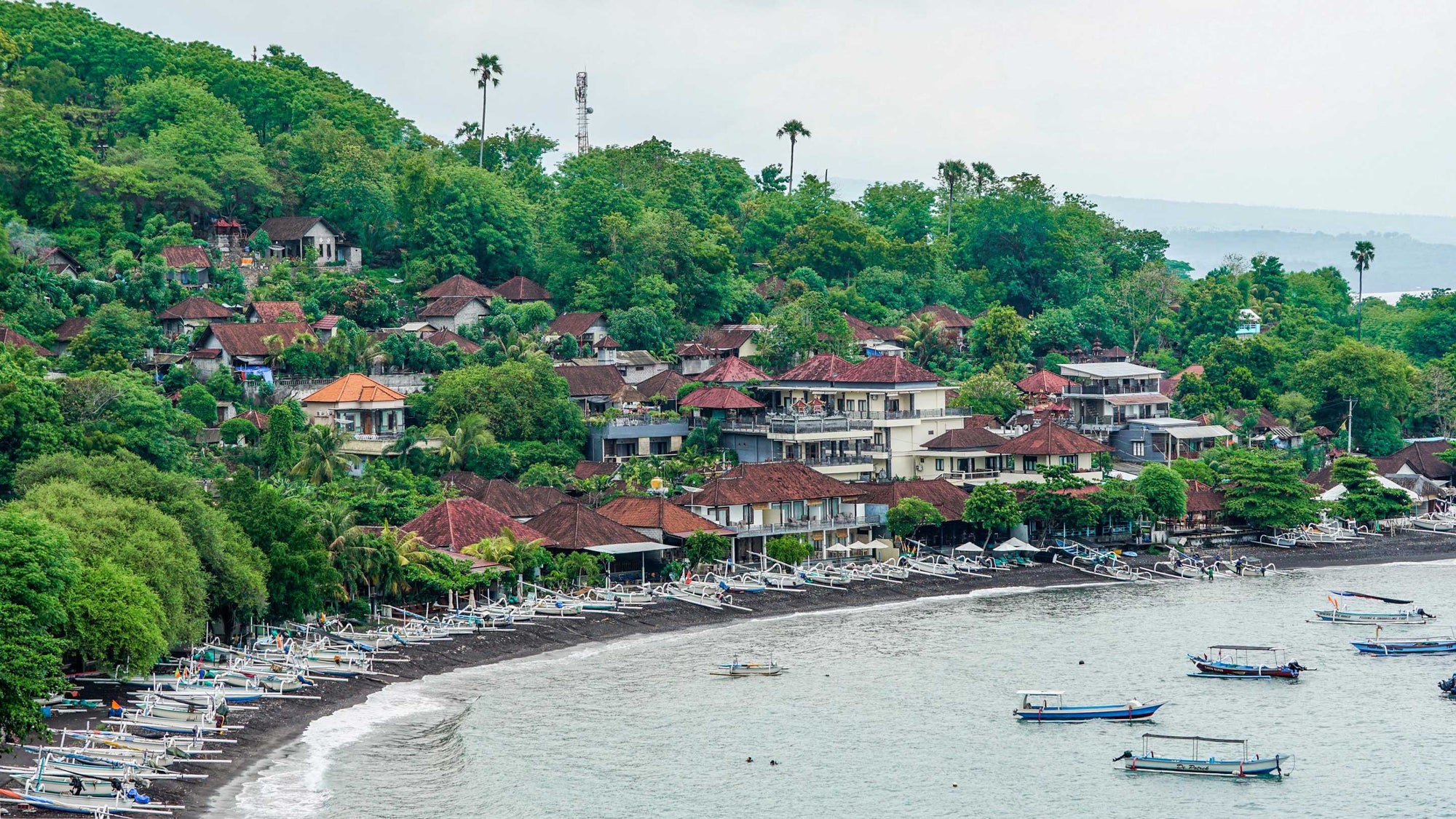 amed bali