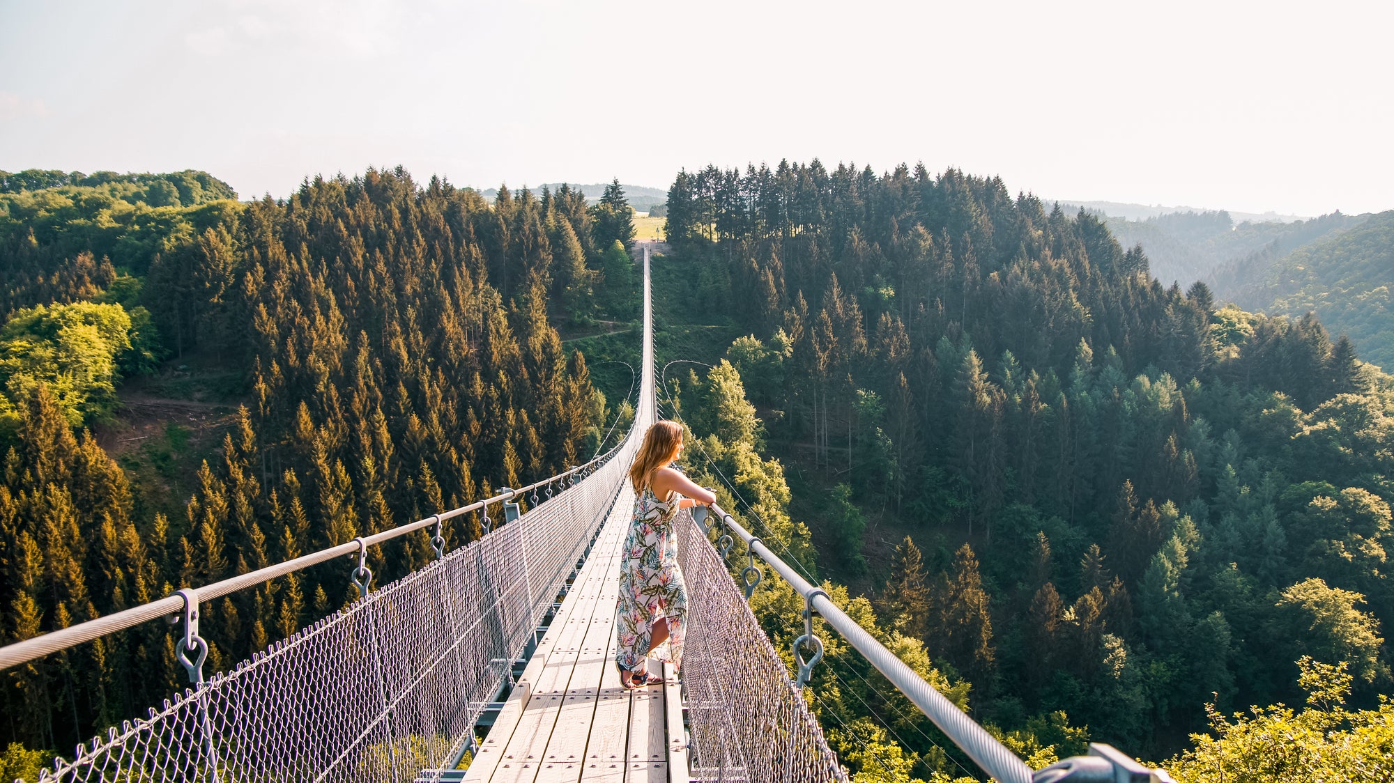 Geierlay hangbrug