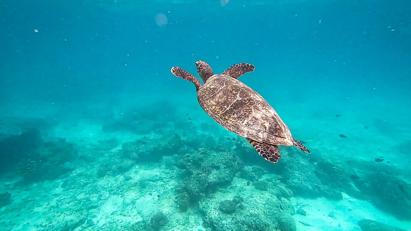 gili eilanden trawangan air meno