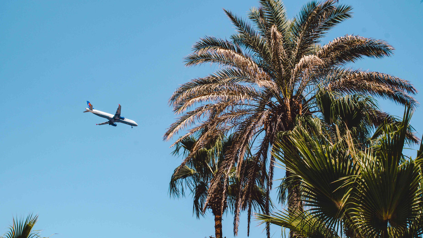 goedkoop vliegtickets boeken