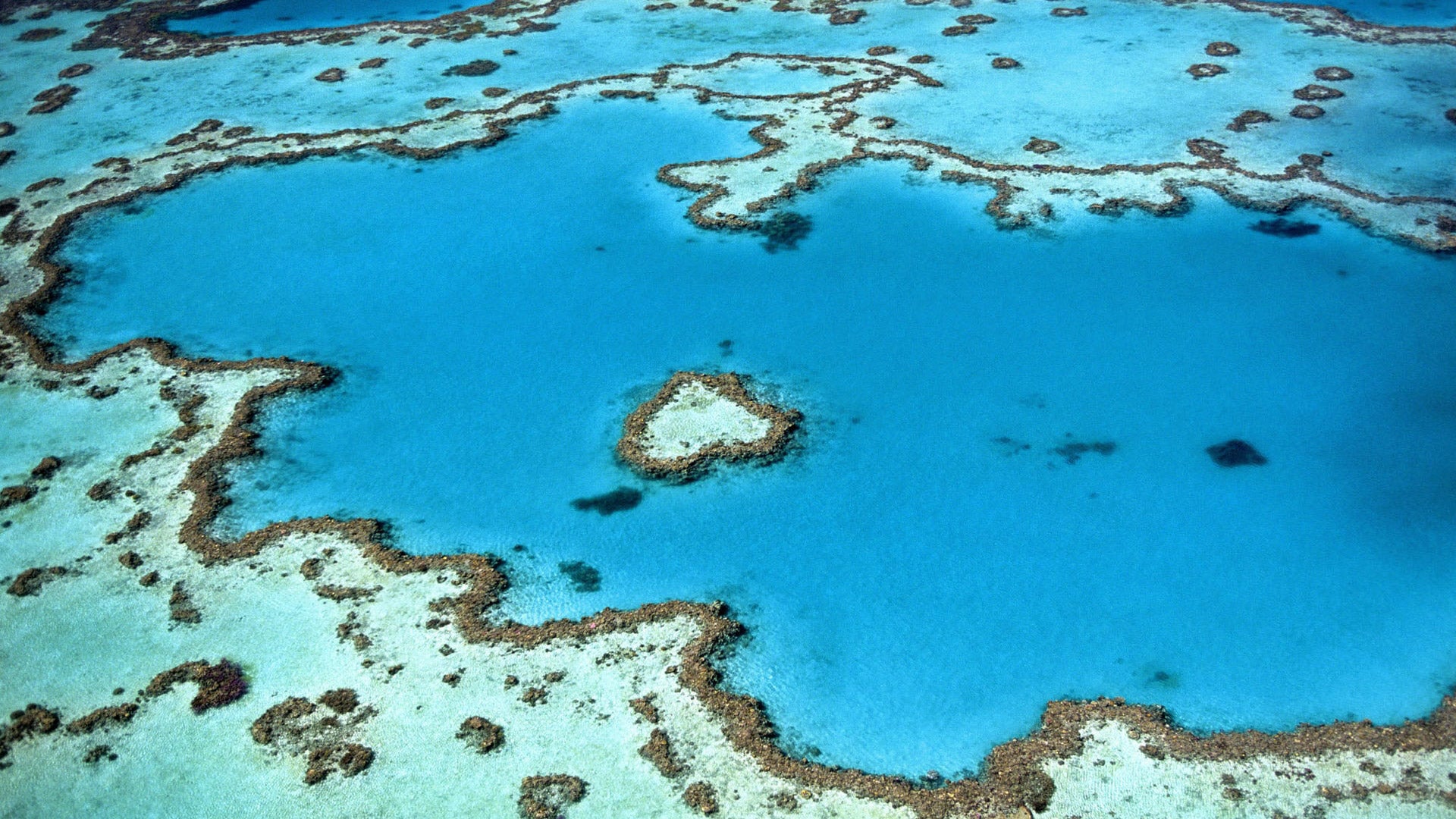 great barrier reef australie