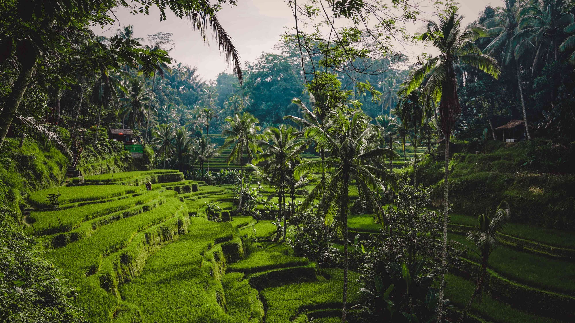 rondreis bali