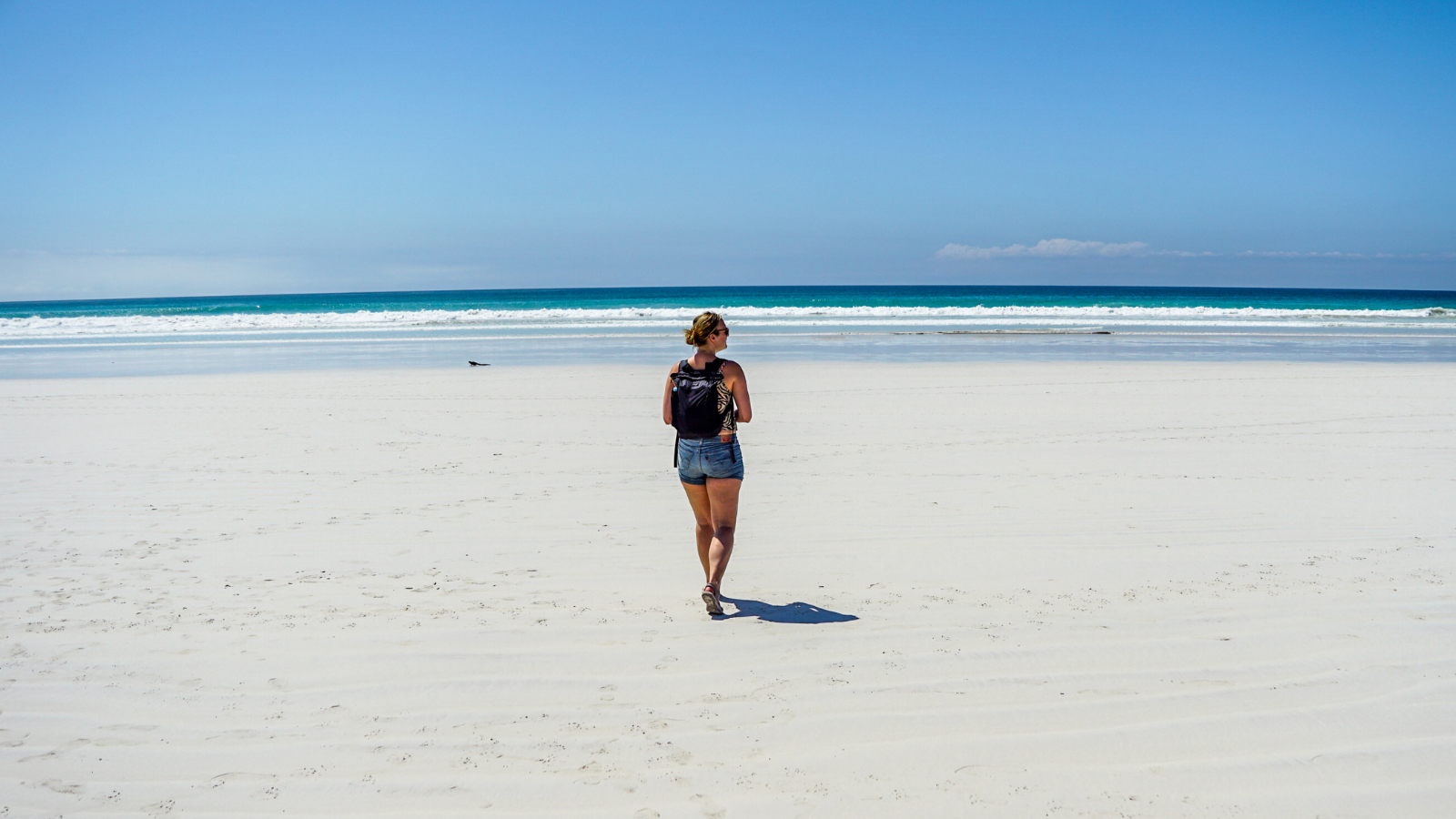 Santa cruz galapagos