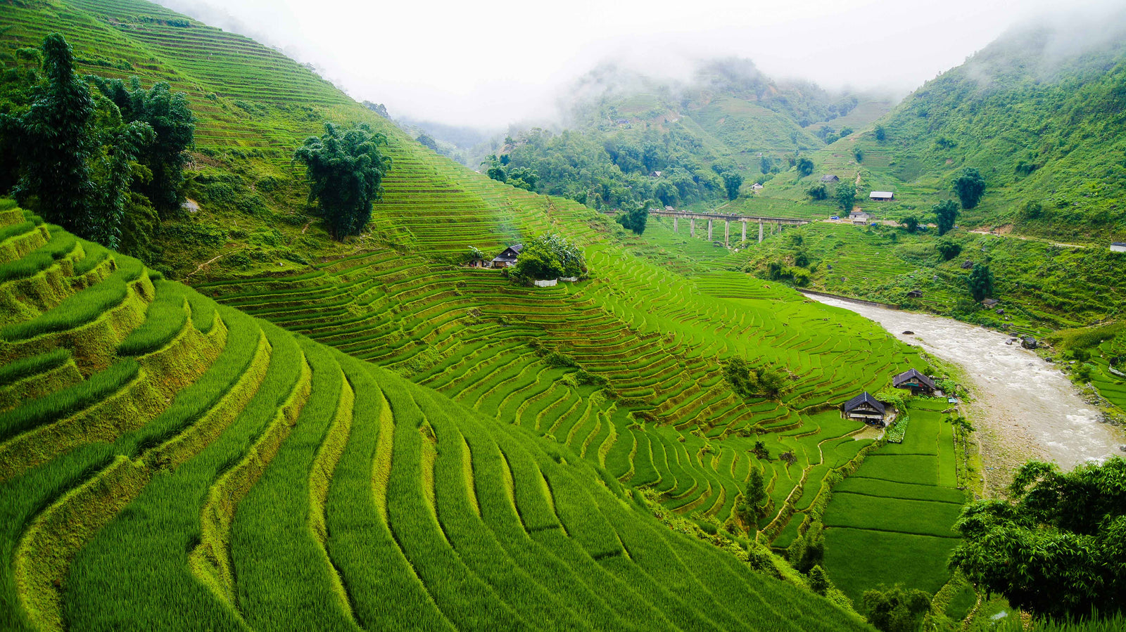 Sapa Vietnam