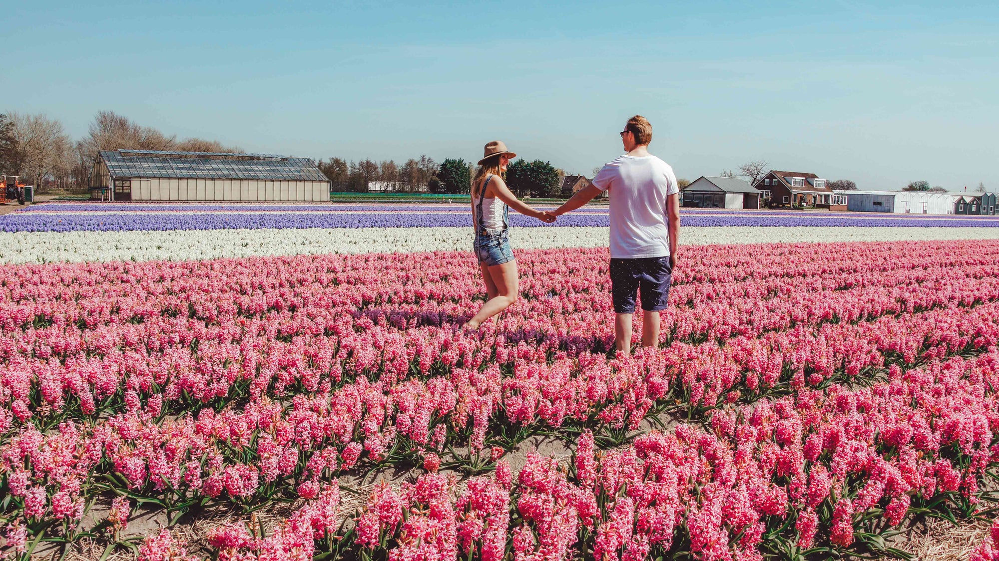 Tulpenvelden